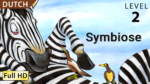 Symbiose