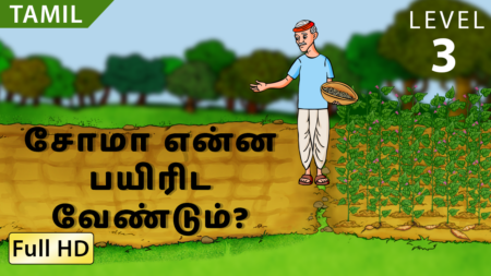 சோமா என்ன பயிரிட வேண்டும்?